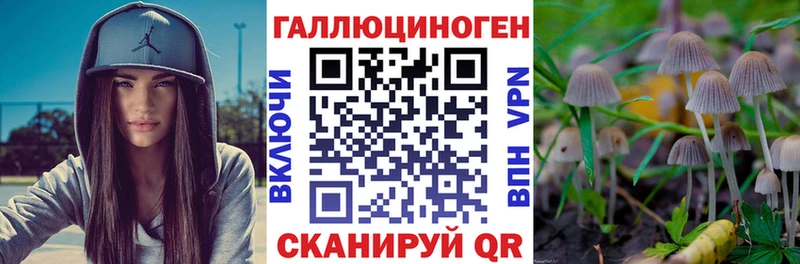 Псилоцибиновые грибы мицелий  Купить  Орёл 